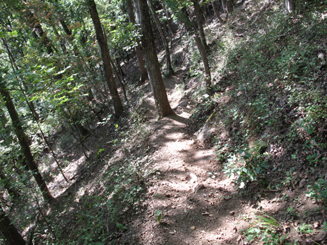 20151014hike (246)